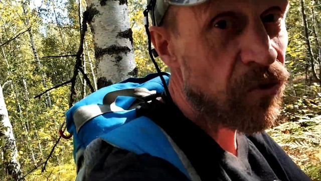 Ездил по Шиповник 2020 часть 1 смотреть онлайн