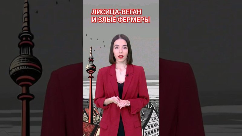 Коротко о немецких сказках, камрады #папочкаканцлера #германия #немцы