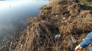 Вечерняя рыбалка на озере Копа в Кокшетау