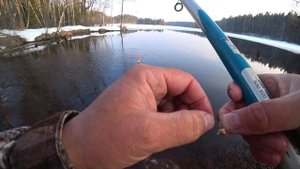 Первая рыба открытой воды. Протока в оз. Длинное. Рыбалка 24.03.22.