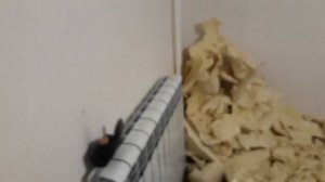 Изготовление ульёв из ППУ своими руками  Подробно