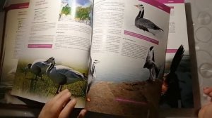 Красная книга России