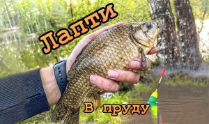 КАРАСИ УТАСКИВАЮТ УДОЧКУ‼️ рыбалка на поплавок как в детстве !!