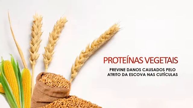 Fluidifier Loreal Professionnel -  Lançamento 2021 смотреть онлайн