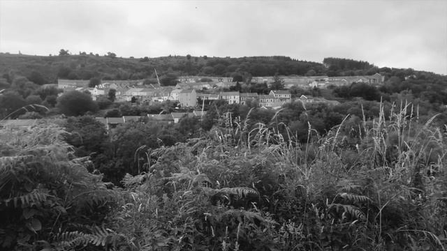 Milky Way || DIY Song Cycle || Orbit Street смотреть онлайн