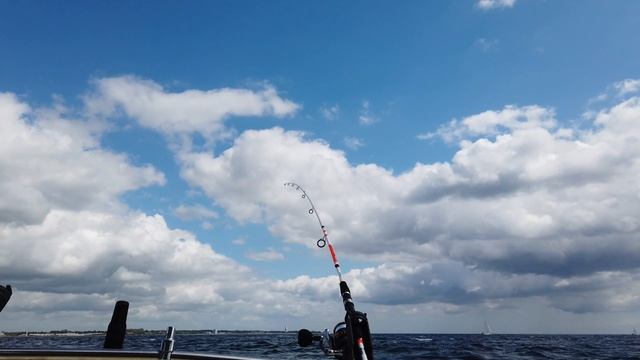 Я В ВОСТОРГЕ ОТ ТАКОГО КЛЕВА. Морская Рыбалка в Германии. смотреть онлайн