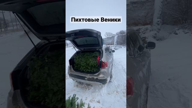 Пихтовые Веники