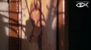 Притвор и средняя часть храма(Детям о Православии 'О храме', Обитель-2021)