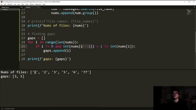 Gap Filler Using Python смотреть онлайн