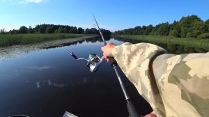 ЩУКИ ПРУТ КРУЖКИ В КУВШИНКИ НА ЛЕСНОМ ОЗЕРЕ!! Зверские поклёвки на поппер и блесну! Рыбалка 2023.