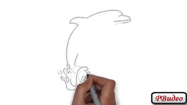 Как рисовать пингвина поэтапно. Рисованное видео. смотреть онлайн