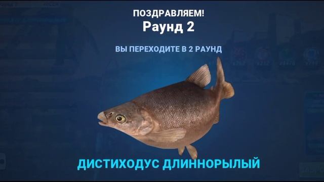Новая рыба на Реке Нил, Финал, fishing clash, фишинг клеш смотреть онлайн