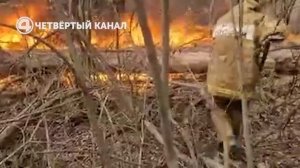 Чудесное спасение ежа из пожара