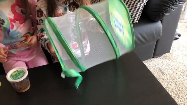 У нас будут Бабочки!!! Выращиваем Бабочек из Гусениц:) смотреть онлайн