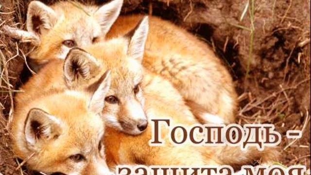 Обетование о БОЖИЕЙ Защите    Псалом 90...
