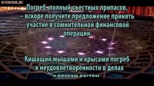 К чему снится Погреб сонник, толкование сна