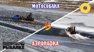 АЭРОЛОДКА против МОТОСОБАКИ. В чем преимущества и недостатки?