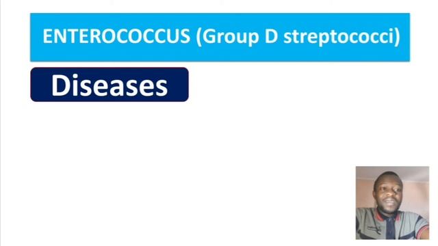 Group D Streptococcus (Enterococcus) смотреть онлайн
