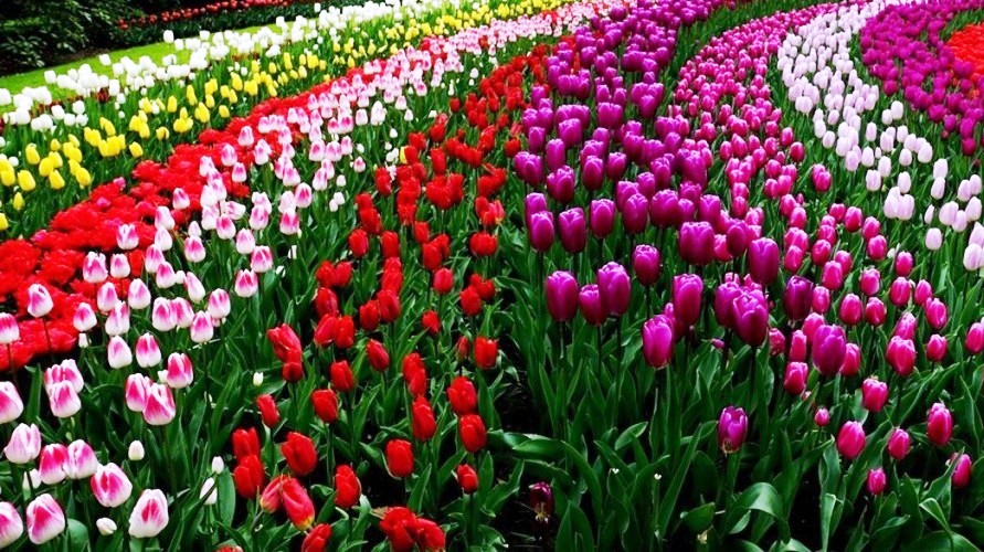 Музыка для снятия стресса-5.П.И.Чайковский смотреть онлайн