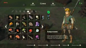 Обзор The Legend of Zelda. Первое впечатление. Zelda на Nintendo switch. Моё мнение об игре.