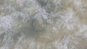 Где зимуют черепахи.mp4