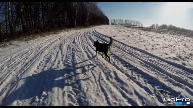 Родное село / январь 2015