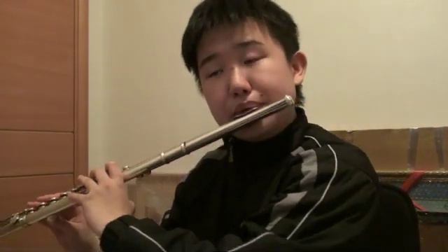 My Heart Will Go On - Flute Cover смотреть онлайн