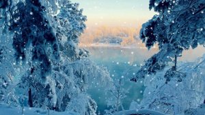 Футаж. Зимний пейзаж 27