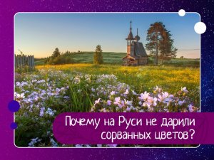 Почему на Руси не дарили срезанных цветов