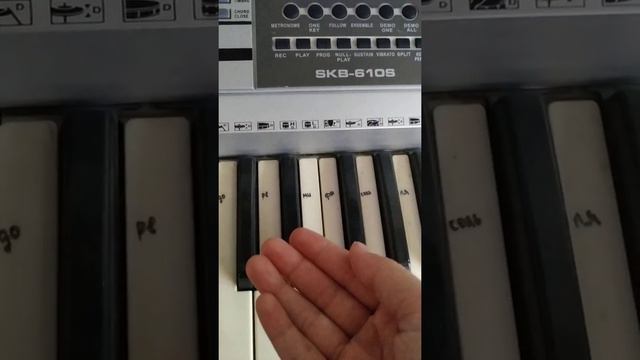 Тон и полутон смотреть онлайн