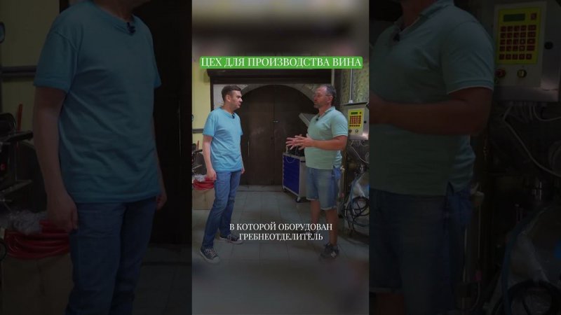 Как выглядит цех на производства вина #андрейданиленко #виноград  #shorts #вино #свояеда #винодельня