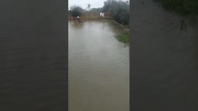 Ay haray kəndimizi sel apardi смотреть онлайн