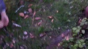 Как правильно наказывать детей