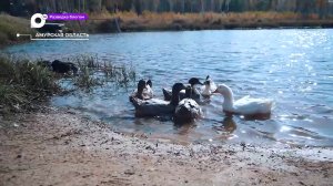 Разведка блогом / Шимановск: чем заняться туристу?