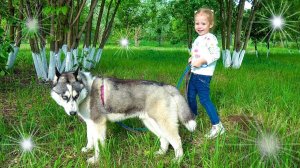 Настя играет с Хаски. Прогулка по зоопарку.