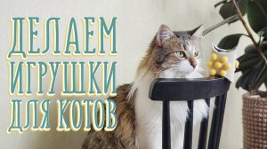 Делаем игрушки для котов и наблюдаем реакцию [Идеи для жизни]