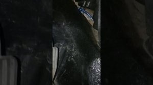 Реостат нива 2020г