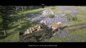 Red Dead Online Carriage Ride