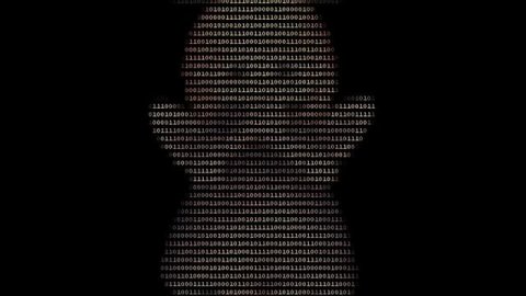 Цветная анимация знаками ASCII art