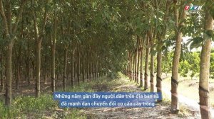 TAY NINH’S BORDER ECONOMY IS TRANSFORMING | BUILDS NEW STYLE RURAL AREAS