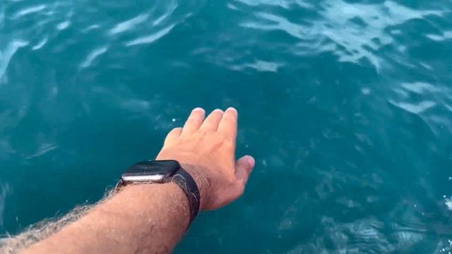 Морская прогулка с дельфинами в открытом море и завершении обзор пляжа Пицунды