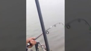Рыболовная база отдыха "Камышовый рай"