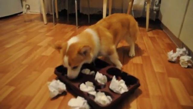 игра "ячейки" смотреть онлайн