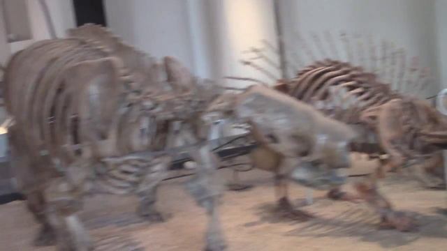 Музей естественной истории. 2 часть - "Вымершие животные" смотреть онлайн