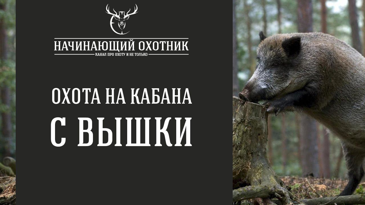 С ВЫШКИ НА КАБАНА / #ОХОТА НА КАБАНА С ВЫШКИ