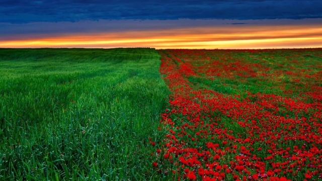 Qarakesek, Улан Тенеспек - Сонген умит смотреть онлайн