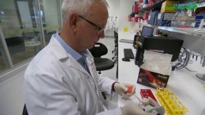 Пакетированный чай УБИВАЕТ !!! Чем опасен чай в пакетиках / Черный чай в пакетах вред