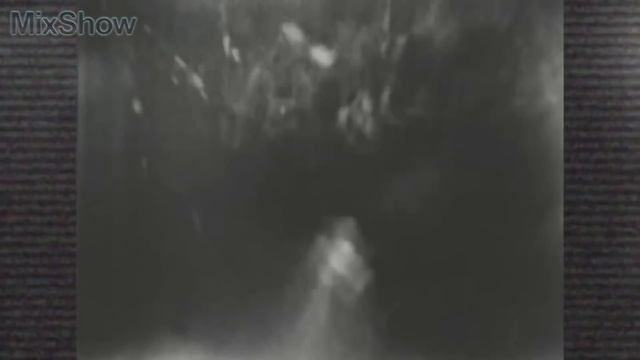 БОРЬБА С ОСЬМИНОГОМ - БЕЗУМНЫЙ ВИД СПОРТА смотреть онлайн