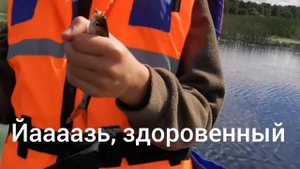 Волга-Хотча, язь (ну почти)