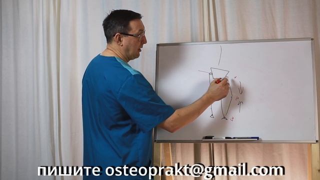 Бедренная кость.Фрагмент видеокурса биомеханика осанки. смотреть онлайн